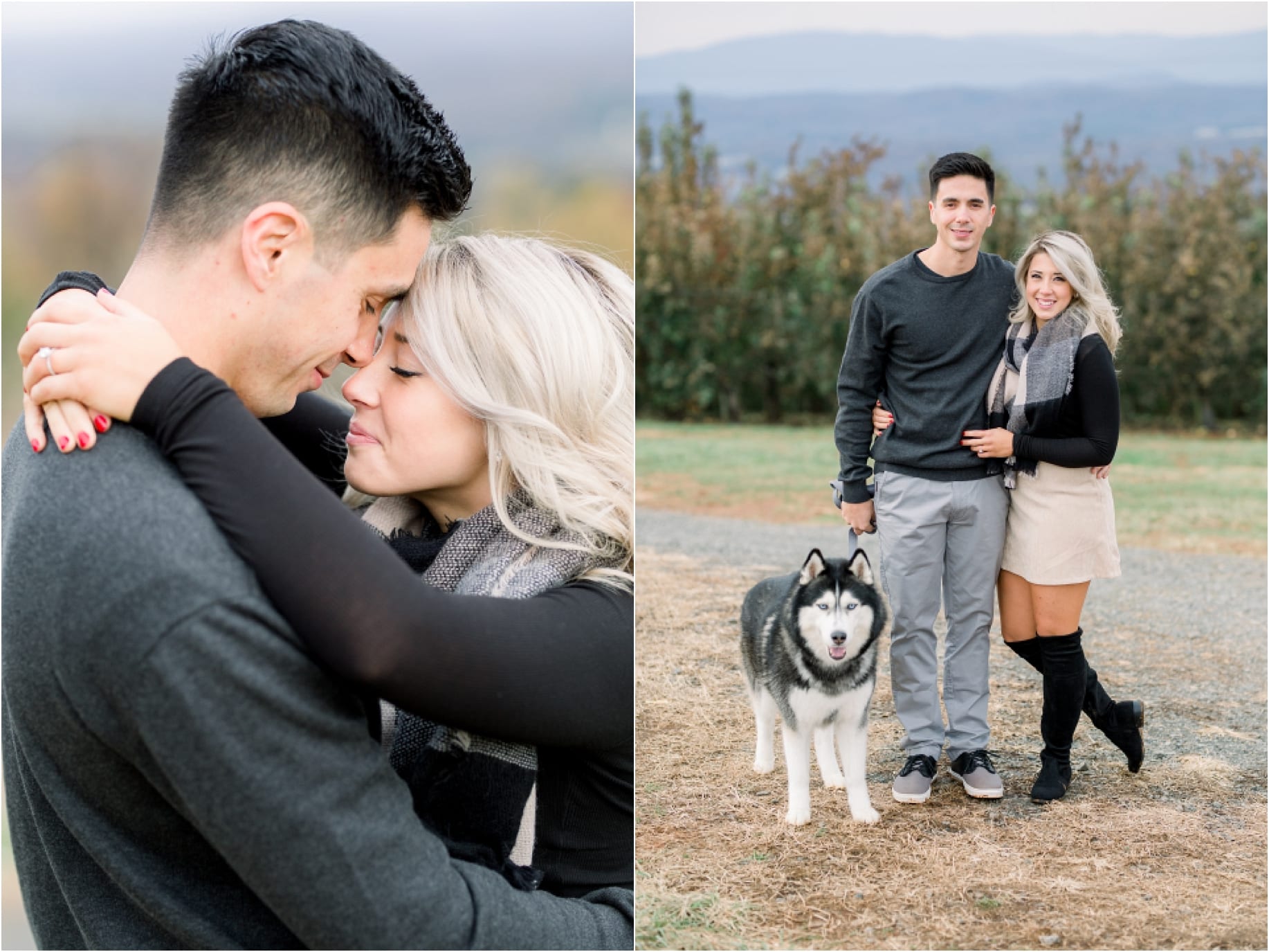 Charlottesville Mountain Fall Engagements at Carter Moutain Orchard_0024.jpg