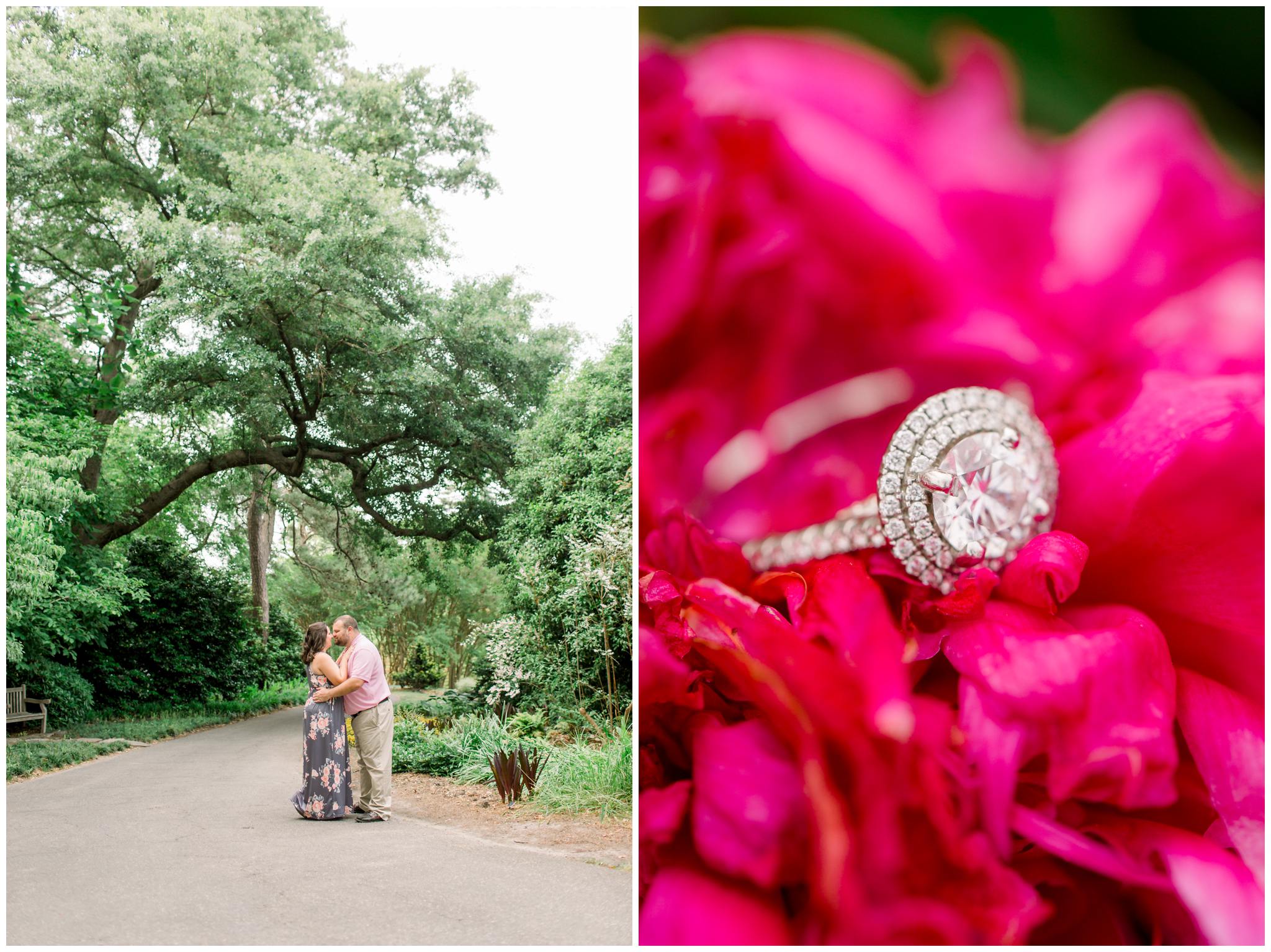 Norfolk Botanical Gardens Engagements Wedding Photographer_0009.jpg