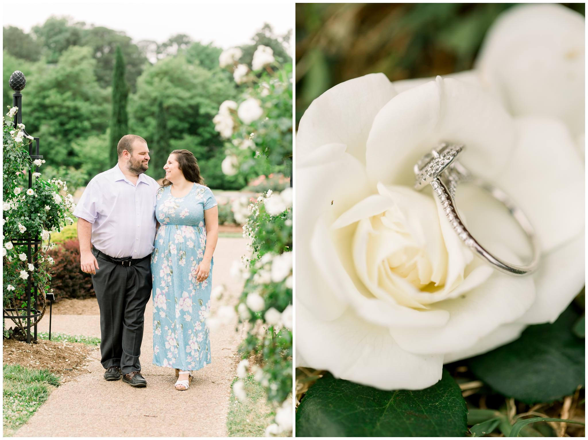 Norfolk Botanical Gardens Engagements Wedding Photographer_0016.jpg